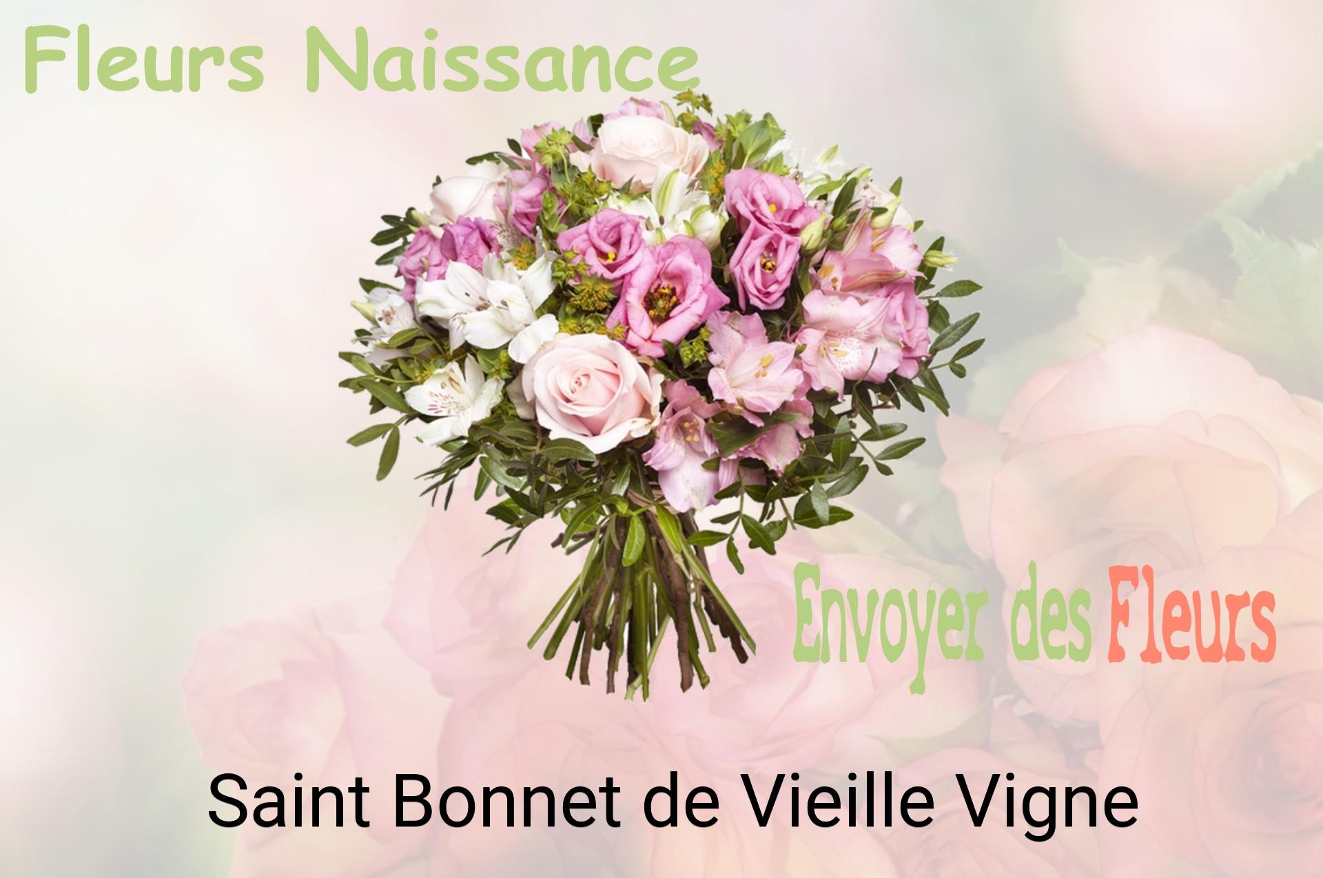 Bouquet de fleurs de naissance livré à Saint-Bonnet-de-Vieille-Vigne
